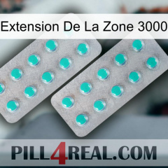 Exten Zone 3000 29